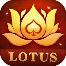rummy game4plus download